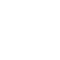 Brain Storm Florida Logo