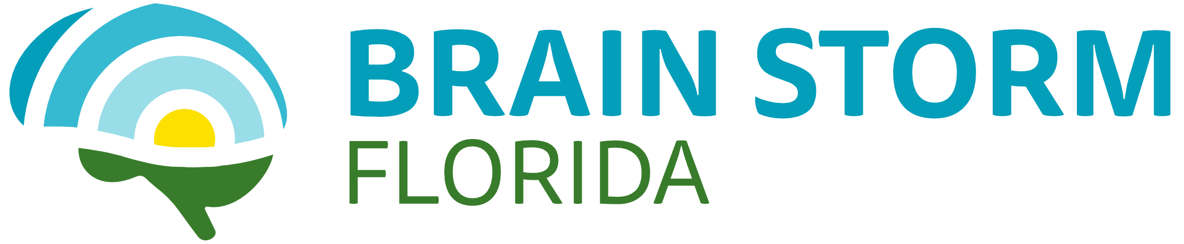 Brainstorm Florida
